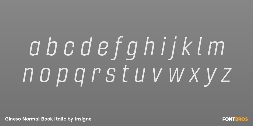 Gineso Normal Book Italic Font Poster #3