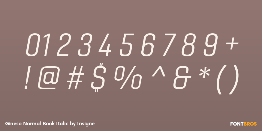 Gineso Normal Book Italic Font Poster #4