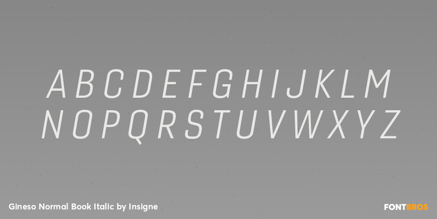 Gineso Normal Book Italic Font Poster #1
