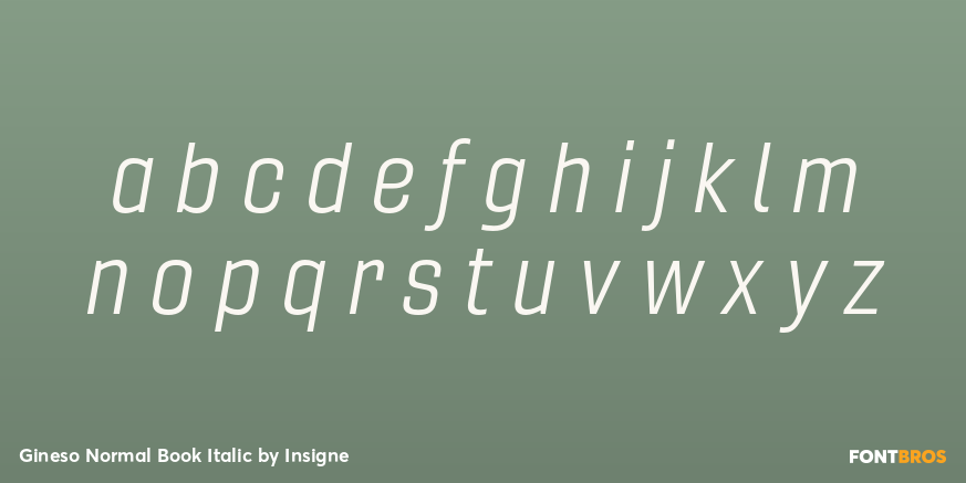 Gineso Normal Book Italic Font Poster #1