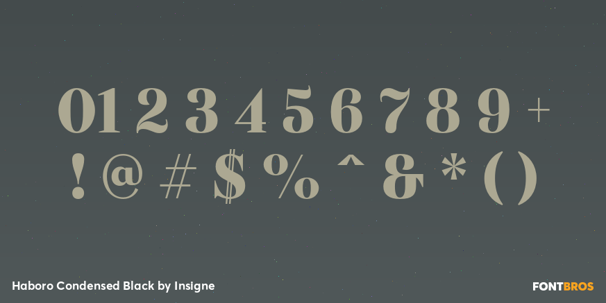 Haboro Condensed Black Font Poster #1