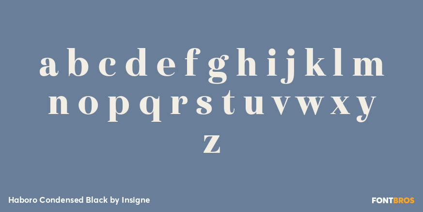 Haboro Condensed Black Font Poster #3