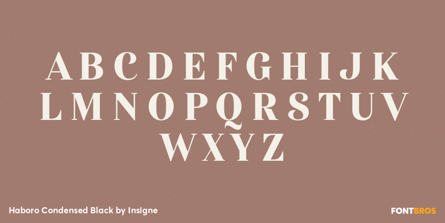 Haboro Condensed Black Font Poster #1