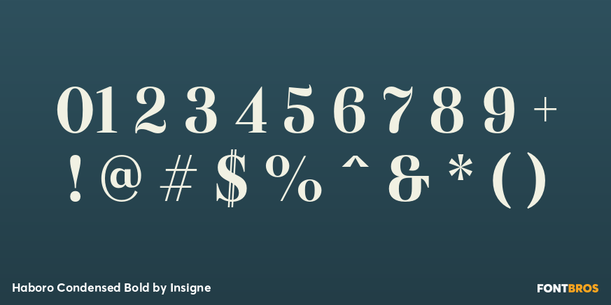 Haboro Condensed Bold Font Poster #4