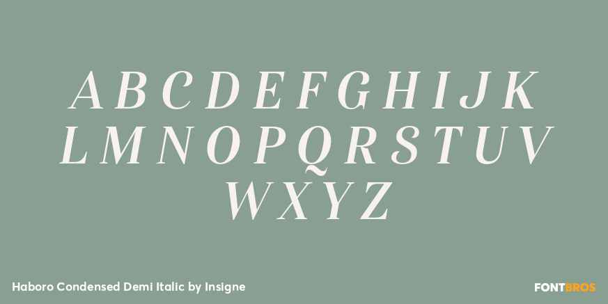 Haboro Condensed Demi Italic Font Poster #1