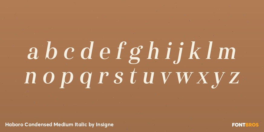 Haboro Condensed Medium Italic Font Poster #3