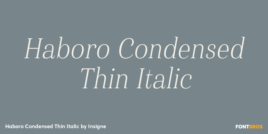 Haboro Condensed Thin Italic Font Poster #1
