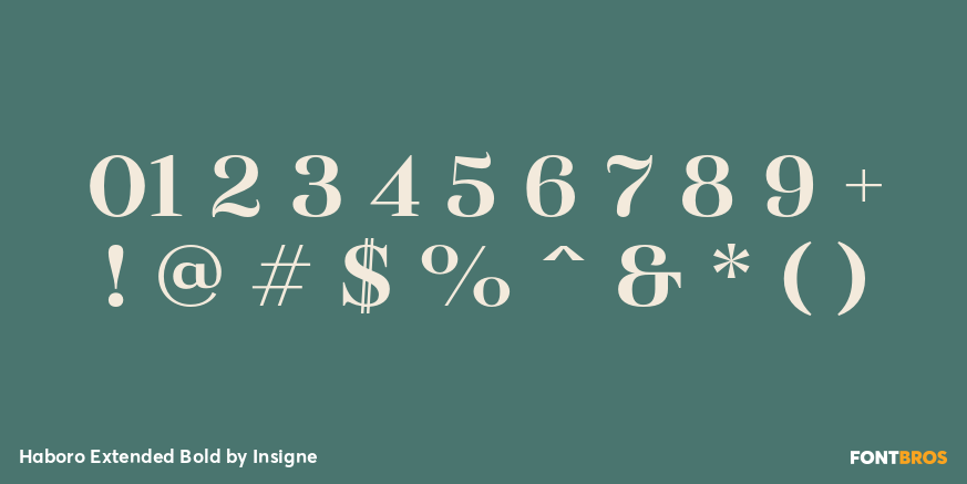 Haboro Extended Bold Font Poster #4