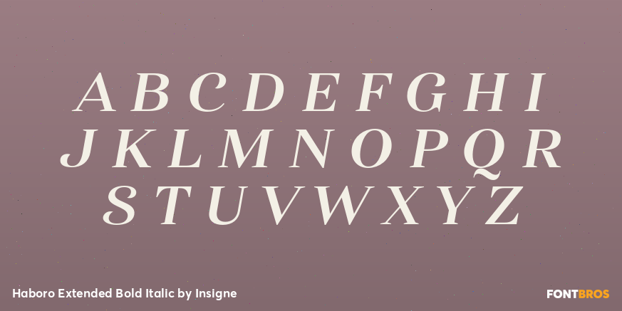 Haboro Extended Bold Italic Font Poster #1