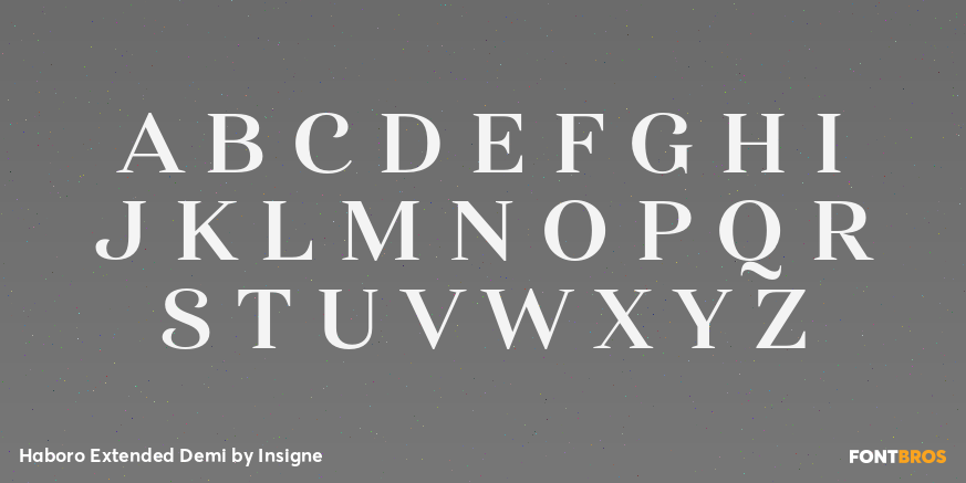 Haboro Extended Demi Font Poster #1