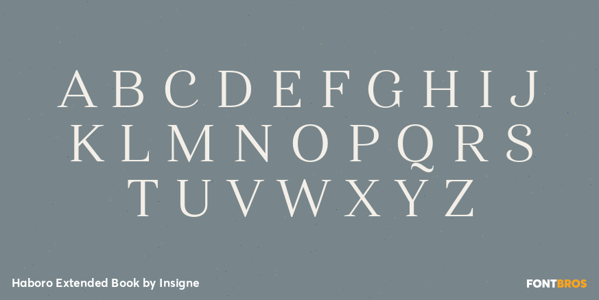 Haboro Extended Book Font Poster #2