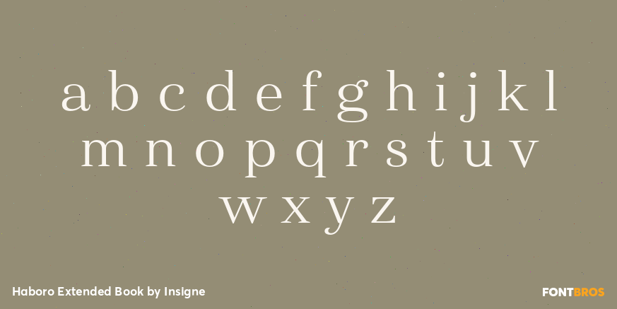 Haboro Extended Book Font Poster #3