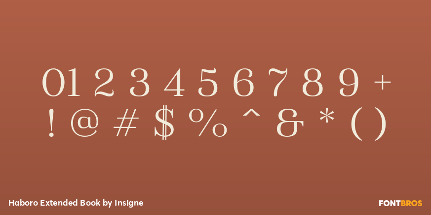 Haboro Extended Book Font Poster #4