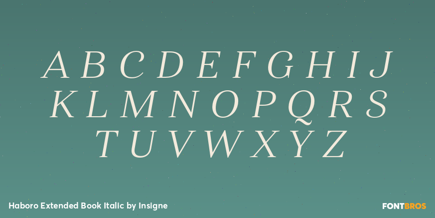 Haboro Extended Book Italic Font Poster #2