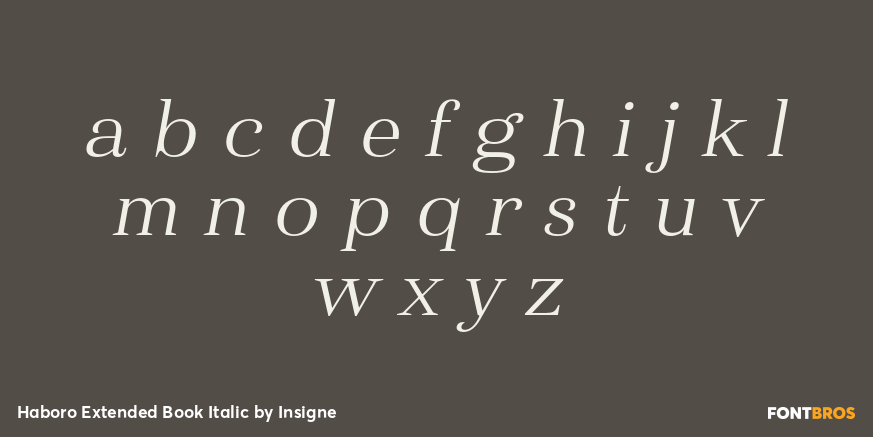 Haboro Extended Book Italic Font Poster #3
