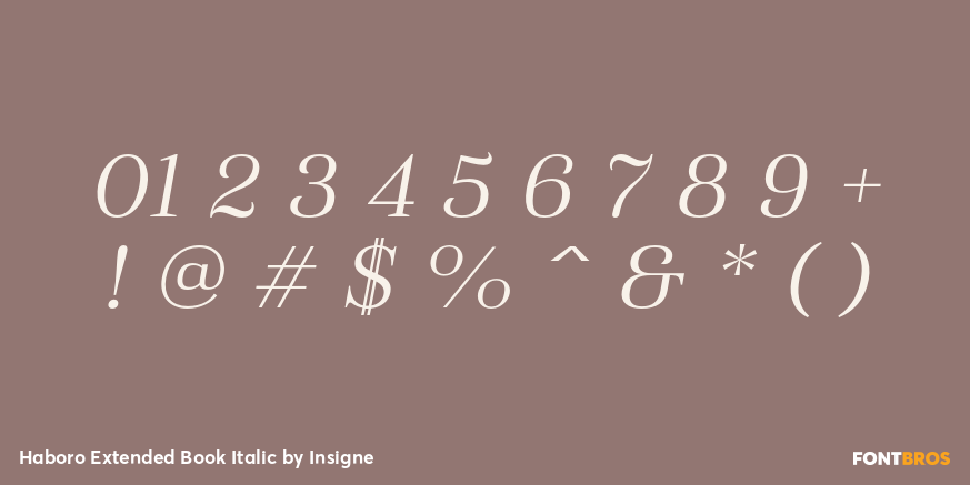 Haboro Extended Book Italic Font Poster #4