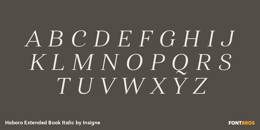 Haboro Extended Book Italic Font Poster #2
