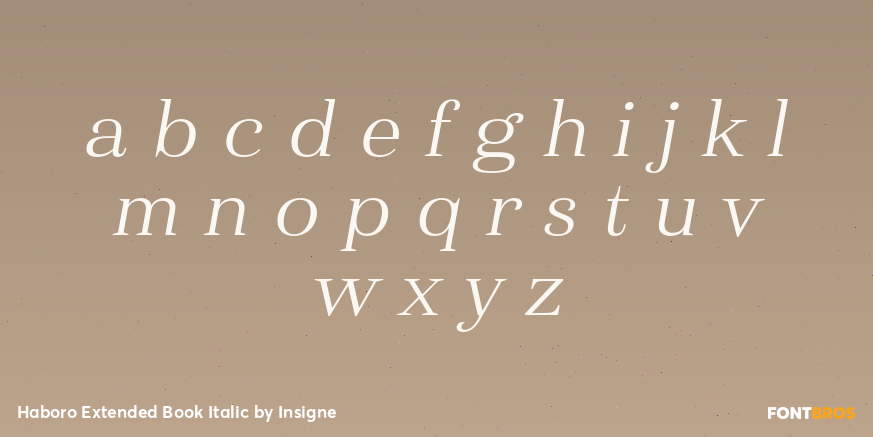 Haboro Extended Book Italic Font Poster #3