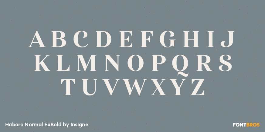 Haboro Normal ExBold Font Poster #2
