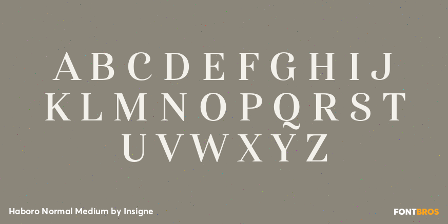 Haboro Normal Medium Font Poster #2