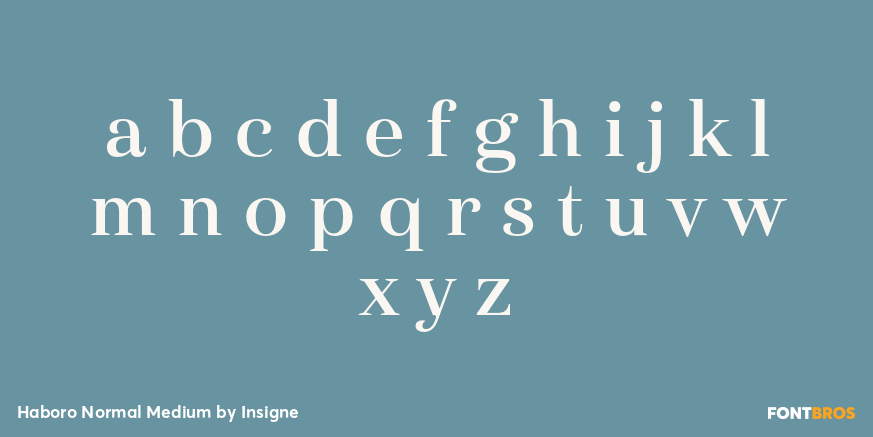 Haboro Normal Medium Font Poster #3
