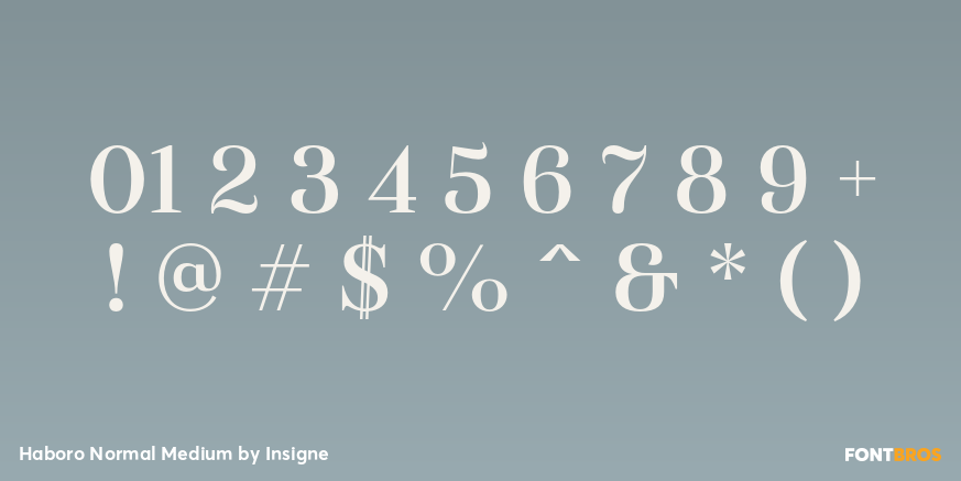 Haboro Normal Medium Font Poster #4