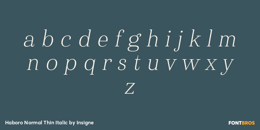 Haboro Normal Thin Italic Font Poster #3