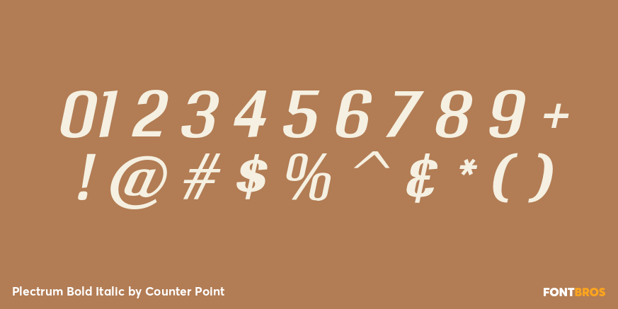 Plectrum Bold Italic Font Poster #1