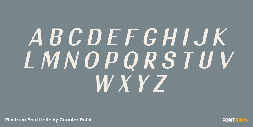 Plectrum Bold Italic Font Poster #1