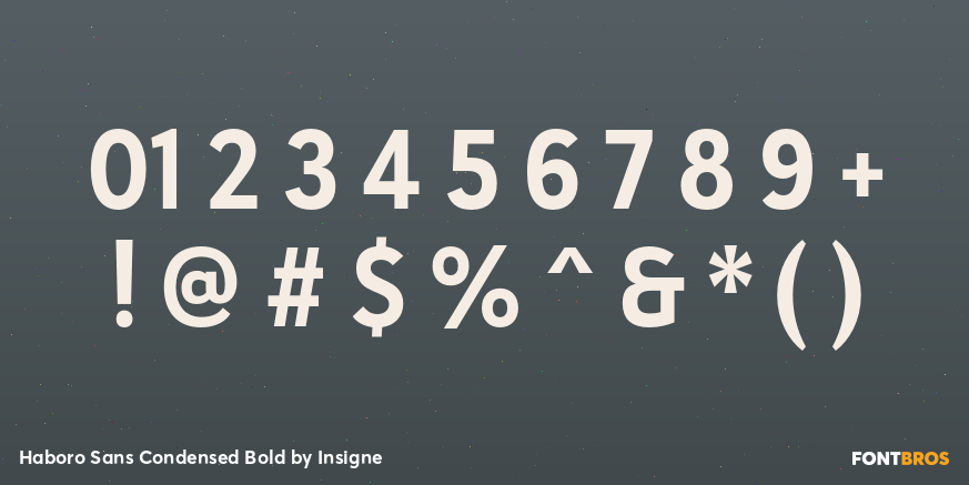Haboro Sans Condensed Bold Font Poster #1