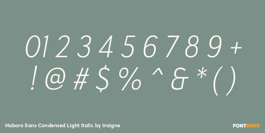 Haboro Sans Condensed Light Italic Font Poster #4