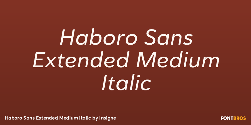 Haboro Sans Extended Medium Italic Font Poster #1