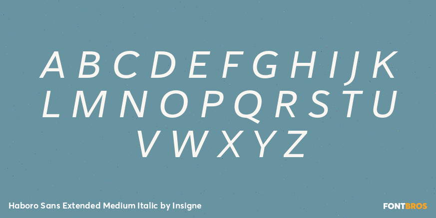 Haboro Sans Extended Medium Italic Font Poster #2