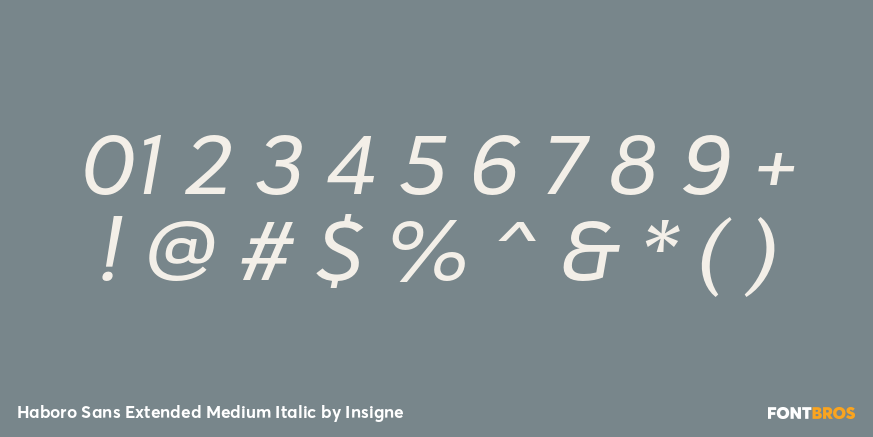 Haboro Sans Extended Medium Italic Font Poster #4