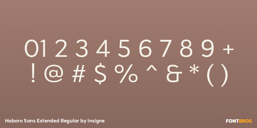 Haboro Sans Extended Regular Font Poster #1