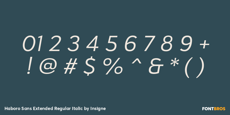 Haboro Sans Extended Regular Italic Font Poster #4