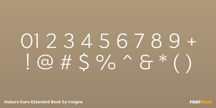 Haboro Sans Extended Book Font Poster #4