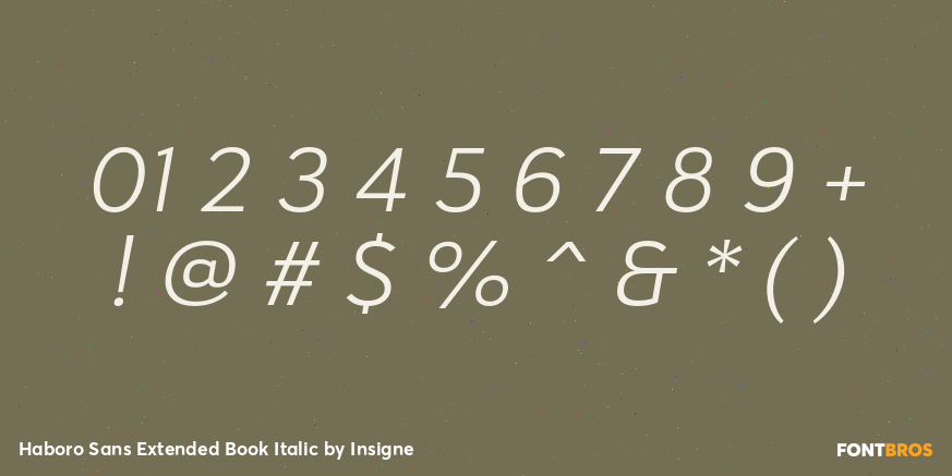Haboro Sans Extended Book Italic Font Poster #4