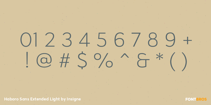 Haboro Sans Extended Light Font Poster #1