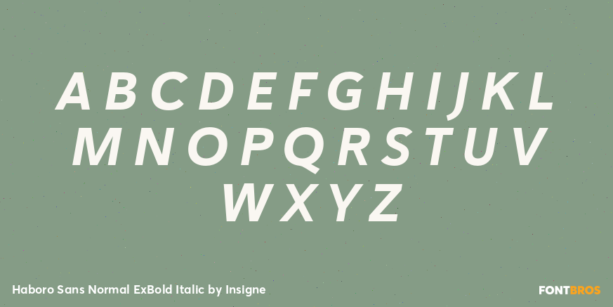 Haboro Sans Normal ExBold Italic Font Poster #2