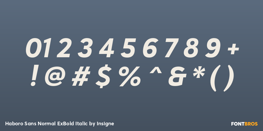 Haboro Sans Normal ExBold Italic Font Poster #4