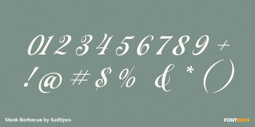 Steak Barbecue Font Poster #1