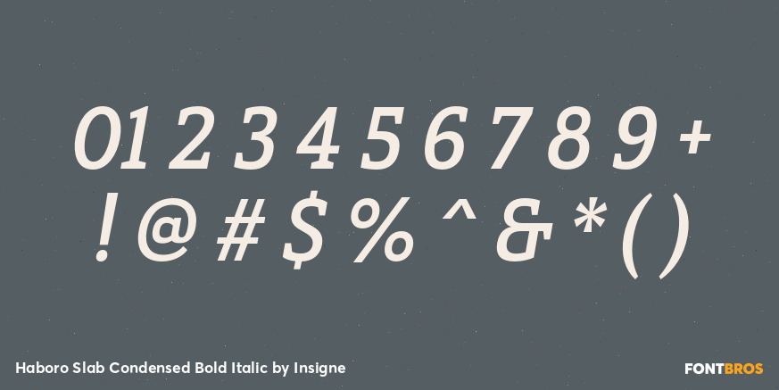 Haboro Slab Condensed Bold Italic Font Poster #4