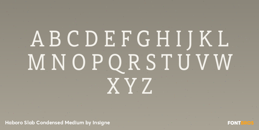 Haboro Slab Condensed Medium Font Poster #1