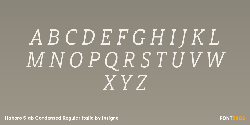 Haboro Slab Condensed Regular Italic Font Poster #2