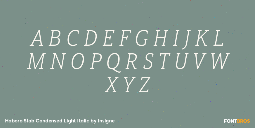 Haboro Slab Condensed Light Italic Font Poster #2