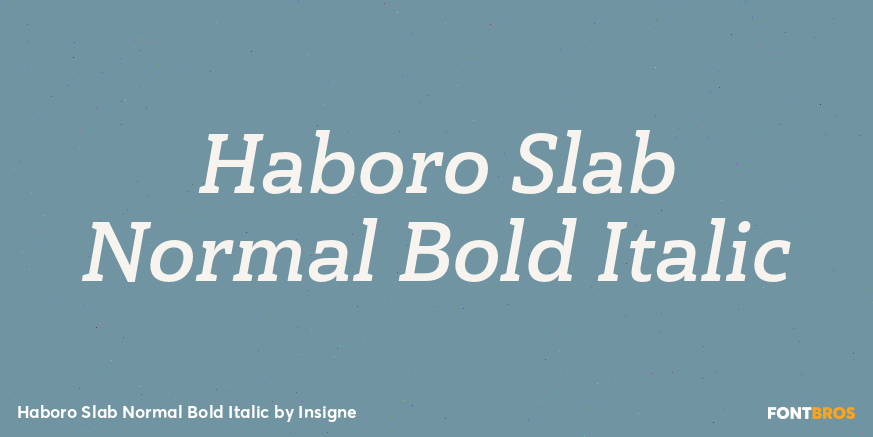 Haboro Slab Normal Bold Italic Font Poster #1