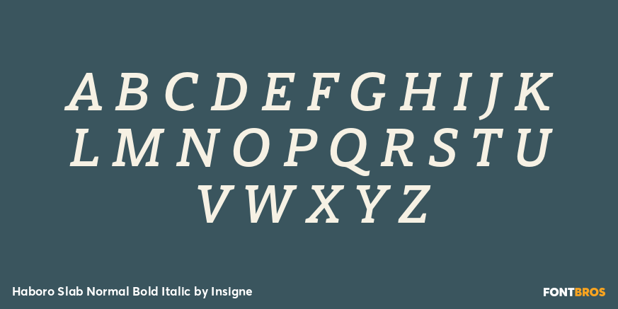 Haboro Slab Normal Bold Italic Font Poster #2