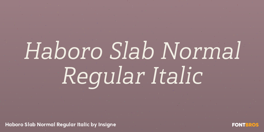 Haboro Slab Normal Regular Italic Font Poster #1