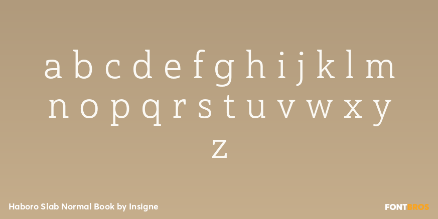 Haboro Slab Normal Book Font Poster #1